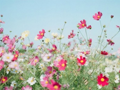 2019新年說說傷感一個人過 新年感到孤獨(dú)的傷感說說句子