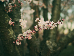 日升日落讓人感到傷感的說(shuō)說(shuō) 時(shí)間和愛(ài)情帶給我們的憂傷傷感說(shuō)說(shuō)