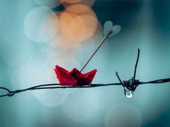 下雨的說說唯美傷感大全2019 一個(gè)人的下雨天傷感說說