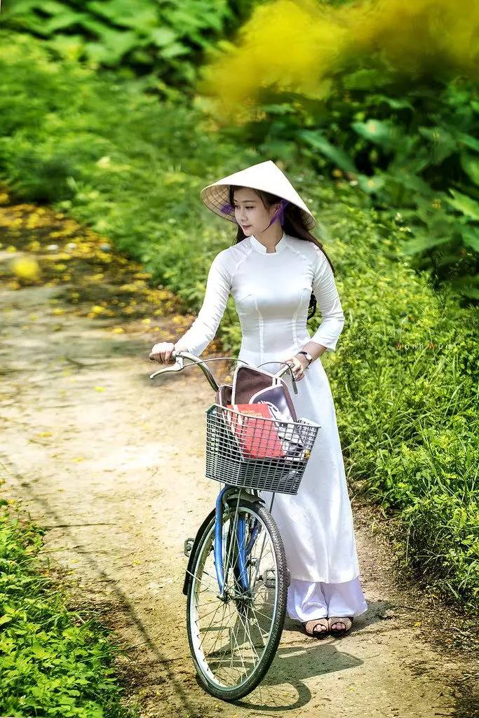 旗袍文化:令人驚艷的越南旗袍