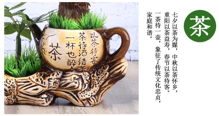 匠心啟航閱讀發(fā)財樹盆景