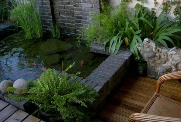 別墅樹(shù)木風(fēng)水