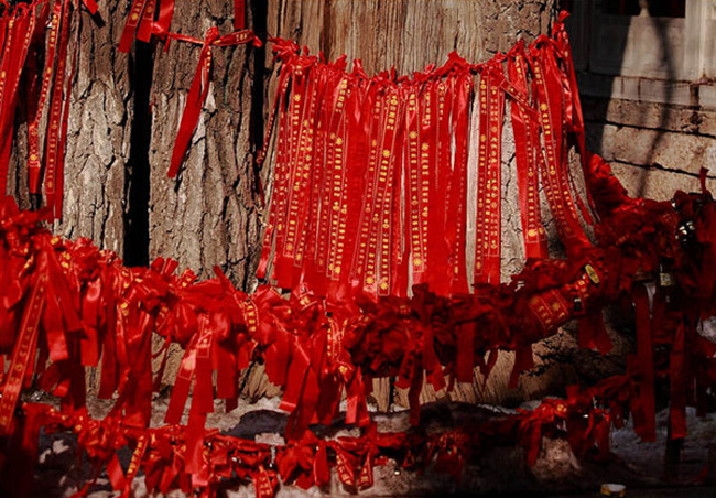 想要招姻緣嗎?風(fēng)水學(xué)來(lái)幫你