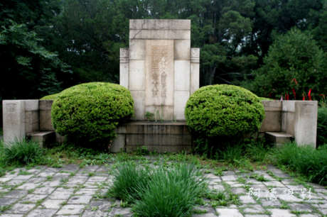 植物對墓地風(fēng)水有何影響?植物與風(fēng)水的聯(lián)系